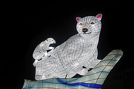 Bernhard Saalfeld - China-Light-Festival 2020 (2v9)